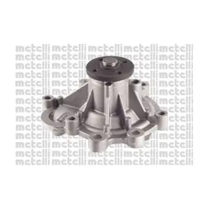 24-1107 METELLI