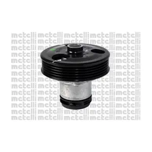 24-1084 METELLI