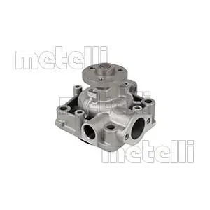 24-0317 METELLI