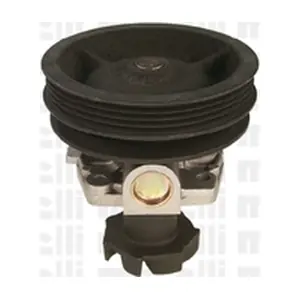 24-0623 METELLI