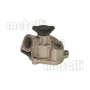24-0344 METELLI