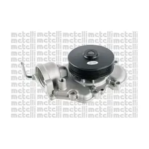 24-1205 METELLI