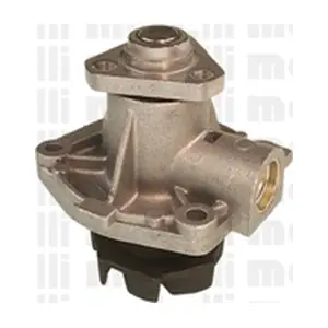 240559 METELLI