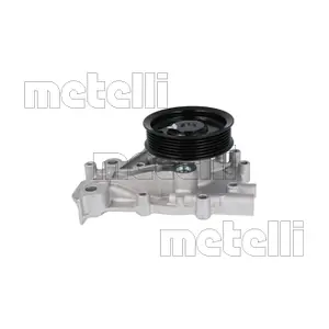 24-1431 METELLI
