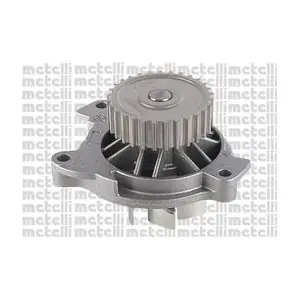 24-0591 METELLI