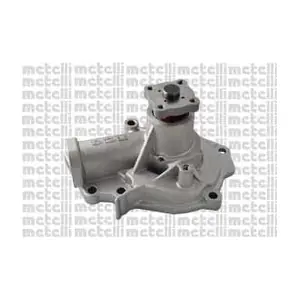 24-1106 METELLI
