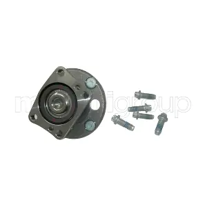 19-2366 METELLI