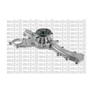 24-1170 METELLI