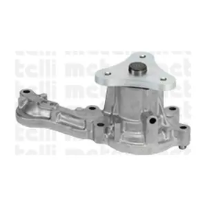240949 METELLI