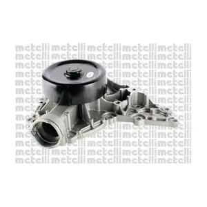 24-1253 METELLI