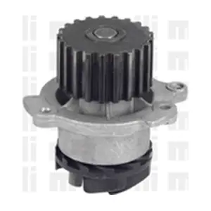 24-0833 METELLI