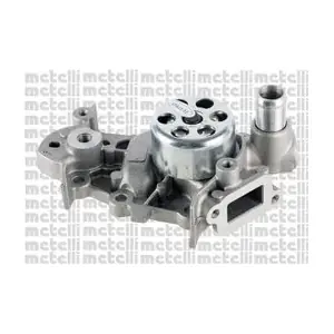 24-0981 METELLI