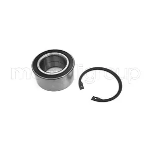 19-2517 METELLI