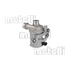 24-1513 METELLI