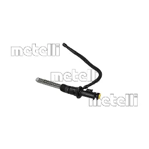 55-0307 METELLI