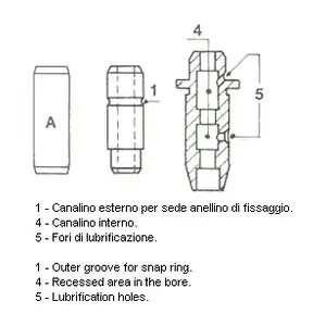 010666 METELLI