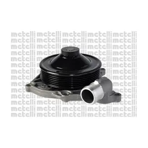 24-1081 METELLI