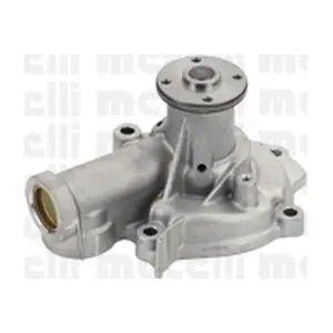 24-0999 METELLI
