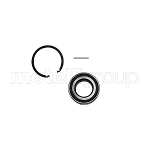 19-2800 METELLI