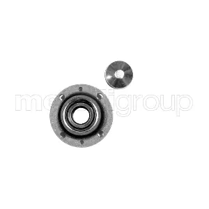 19-2775 METELLI