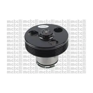 241220 METELLI