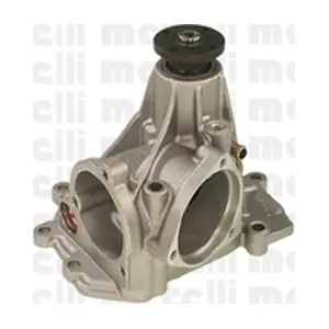 METELLI 240578