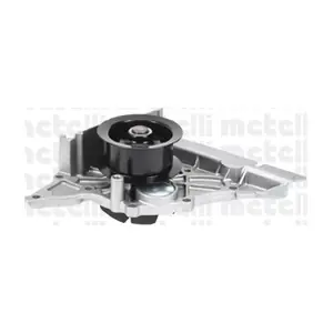 24-0764 METELLI