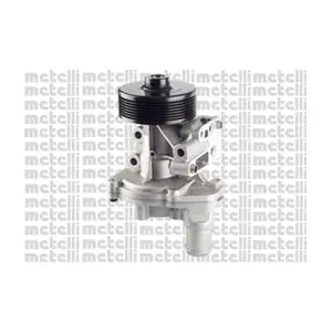 24-1096 METELLI