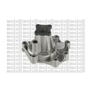 24-1257 METELLI