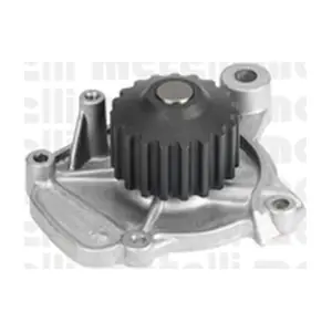 24-0925 METELLI