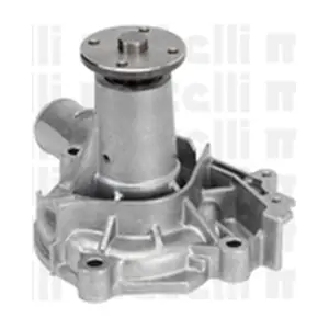 24-0997 METELLI