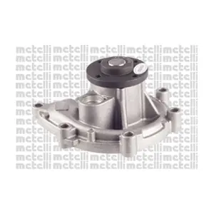 24-1111 METELLI