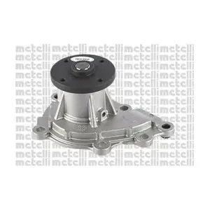 24-1196 METELLI