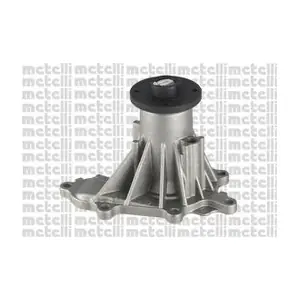 24-1181 METELLI
