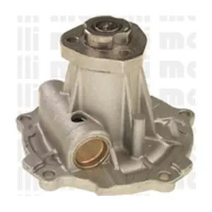 24-0609 METELLI