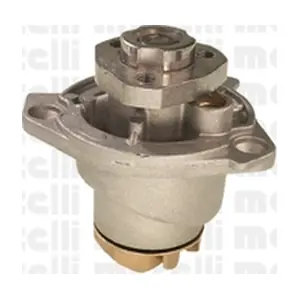 24-0658 METELLI