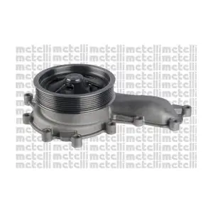 24-1207 METELLI