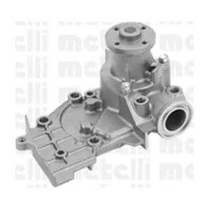 24-1004 METELLI