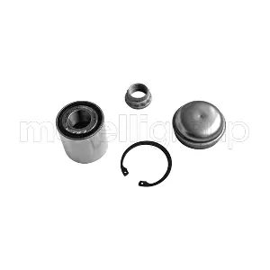 19-2943 METELLI
