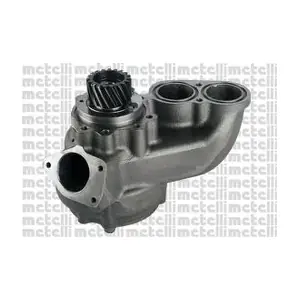 24-1304 METELLI