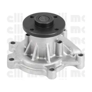 24-0827 METELLI