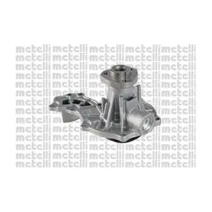 24-0679 METELLI