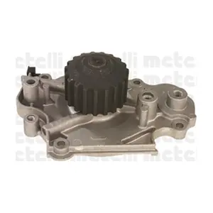 24-0564 METELLI