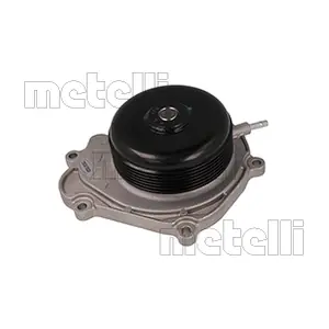 24-1376 METELLI
