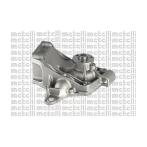 24-0751 METELLI