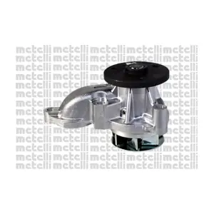 24-1078 METELLI