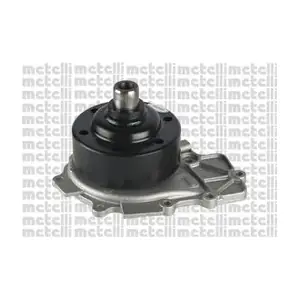 24-1197 METELLI