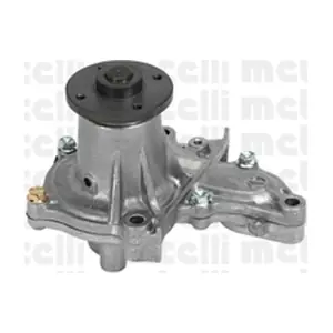 24-0791 METELLI