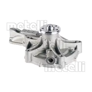24-1204 METELLI