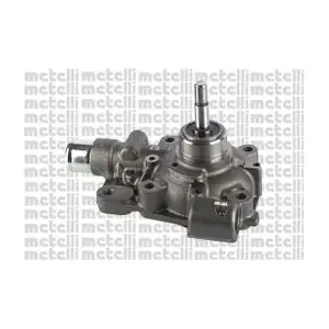 24-1176 METELLI